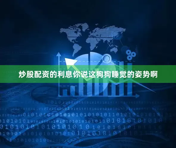 炒股配资的利息你说这狗狗睡觉的姿势啊