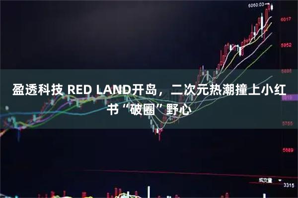 盈透科技 RED LAND开岛，二次元热潮撞上小红书“破圈”野心
