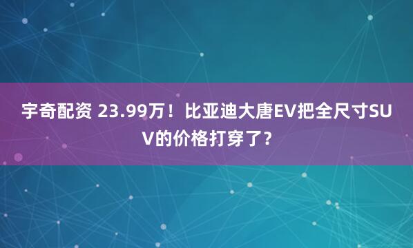 宇奇配资 23.99万!比亚迪大唐EV把全尺寸SUV的价格打穿了?