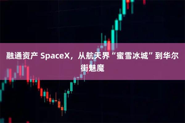 融通资产 SpaceX,从航天界“蜜雪冰城”到华尔街魅魔