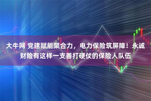 大牛网 党建赋能聚合力,电力保险筑屏障!永诚财险有这样一支善打硬仗的保险人队伍