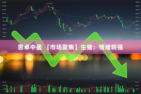 恩卓中盈 【市场聚焦】生猪：情绪转强