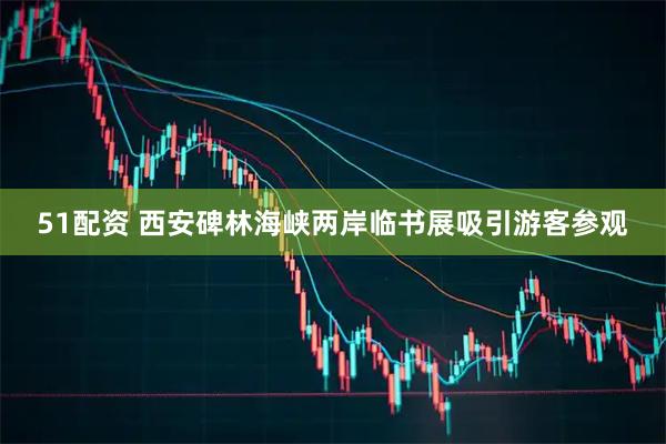 51配资 西安碑林海峡两岸临书展吸引游客参观